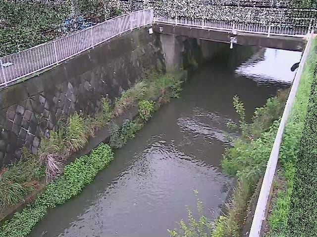 吉野橋付近のカメラ画像