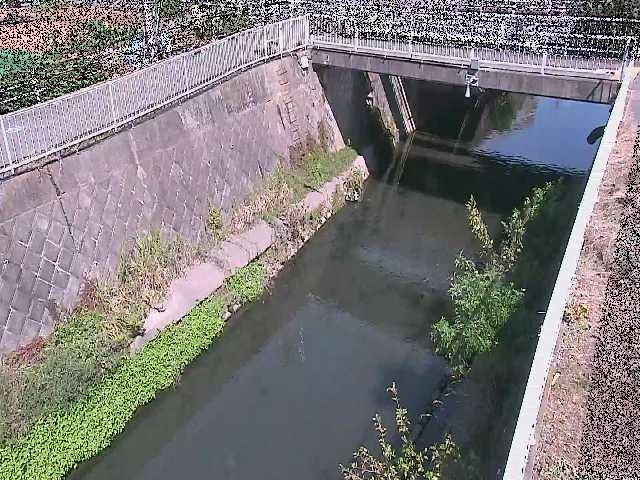 吉野橋付近のカメラ画像