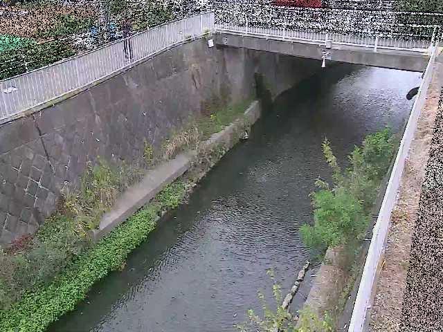 吉野橋付近のカメラ画像