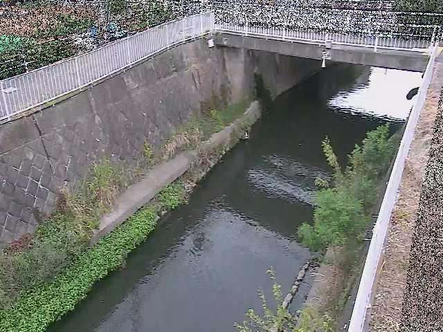 目久尻川 吉野橋付近のカメラ画像