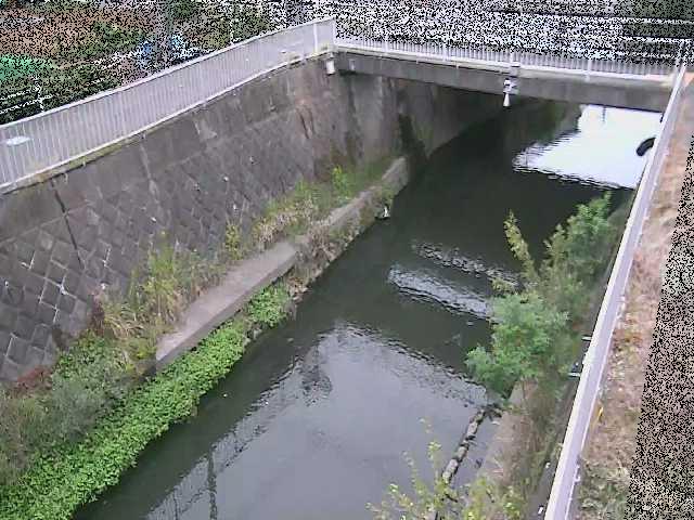吉野橋付近のカメラ画像