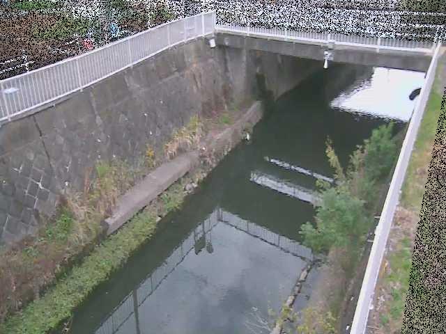 吉野橋付近のカメラ画像