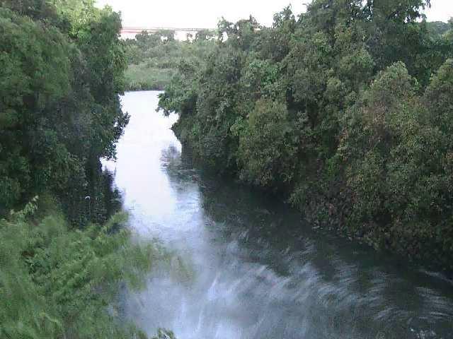 海老名分水路付近のカメラ画像