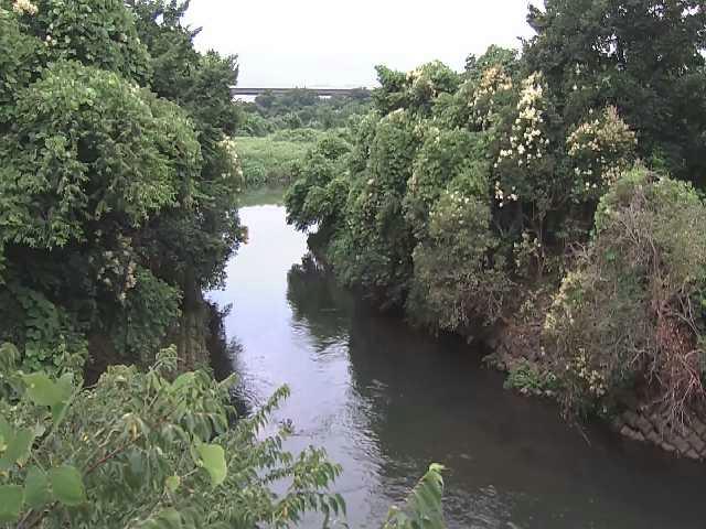 鳩川 海老名分水路付近のカメラ画像