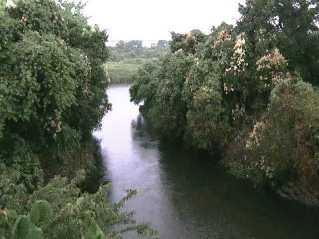 鳩川 海老名分水路付近のカメラ画像