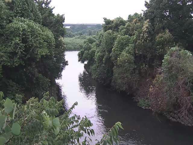鳩川 海老名分水路付近のカメラ画像