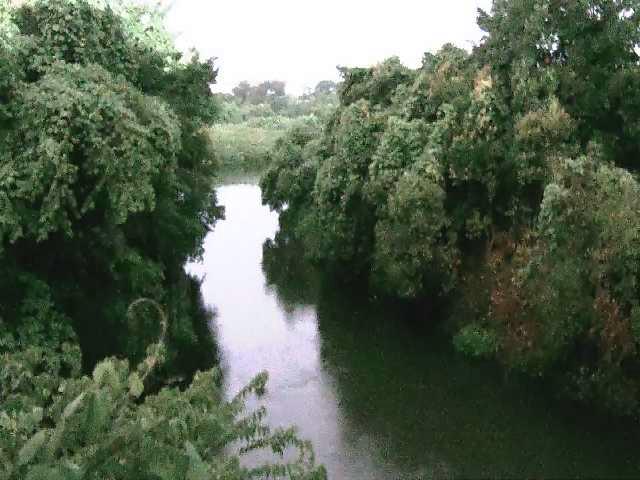 海老名分水路付近のカメラ画像
