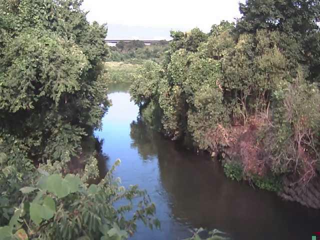 鳩川 海老名分水路付近のカメラ画像