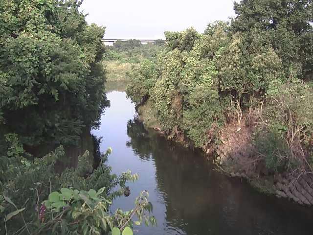 海老名分水路付近のカメラ画像
