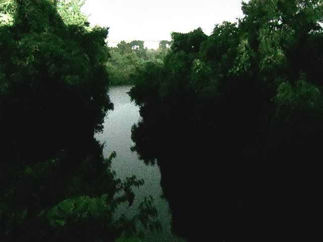 鳩川 海老名分水路付近のカメラ画像