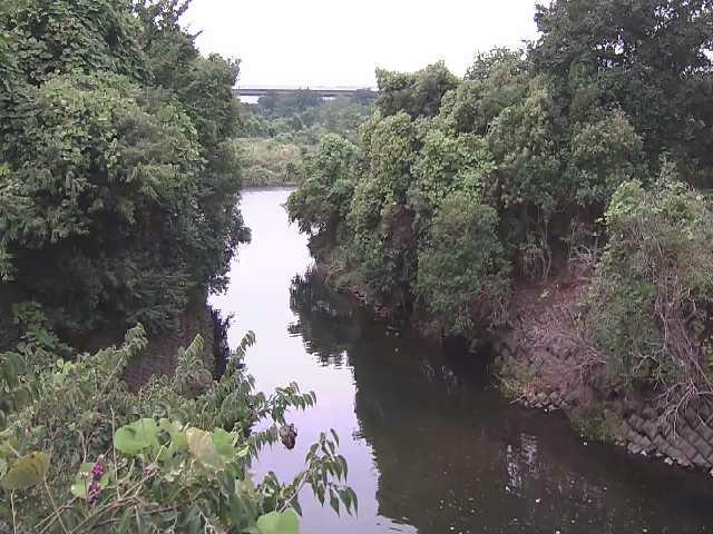 鳩川 海老名分水路付近のカメラ画像