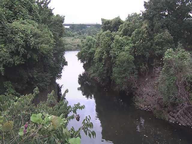 海老名分水路付近のカメラ画像