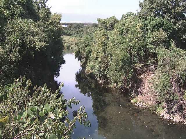 海老名分水路付近のカメラ画像