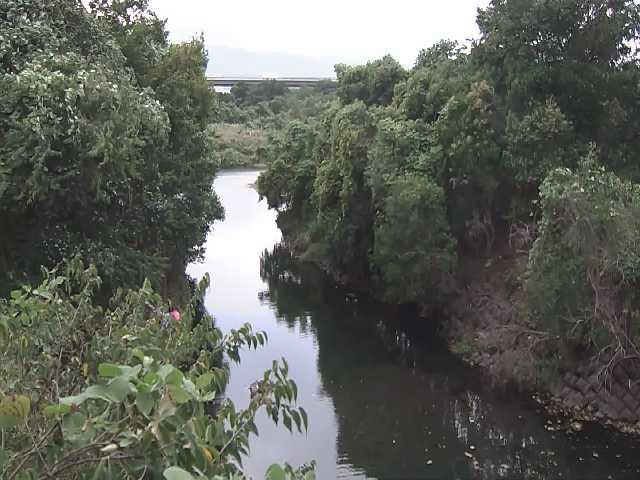鳩川 海老名分水路付近のカメラ画像