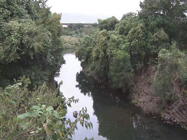 海老名分水路付近のカメラ画像