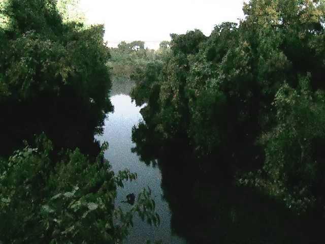 海老名分水路付近のカメラ画像