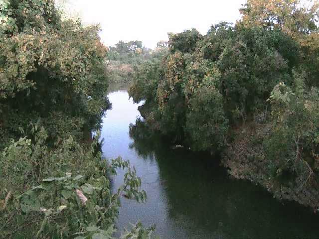 海老名分水路付近のカメラ画像