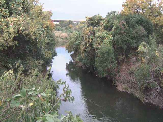 海老名分水路付近のカメラ画像