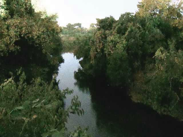 鳩川 海老名分水路付近のカメラ画像