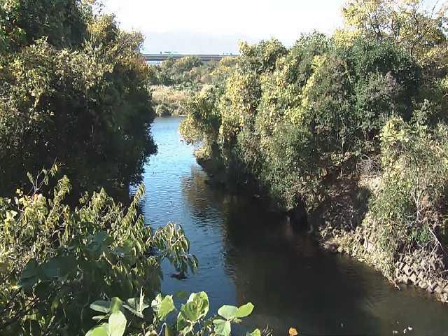 鳩川 海老名分水路付近のカメラ画像