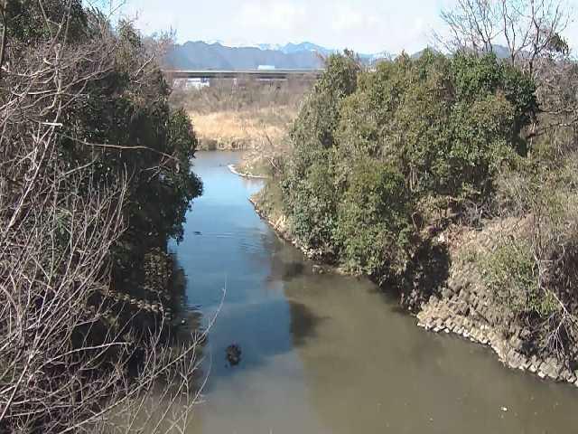 鳩川 海老名分水路付近のカメラ画像