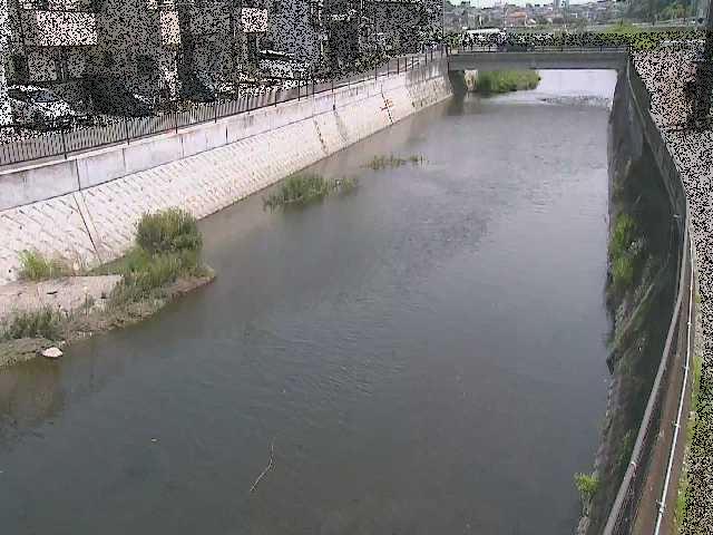 大山橋付近のカメラ画像
