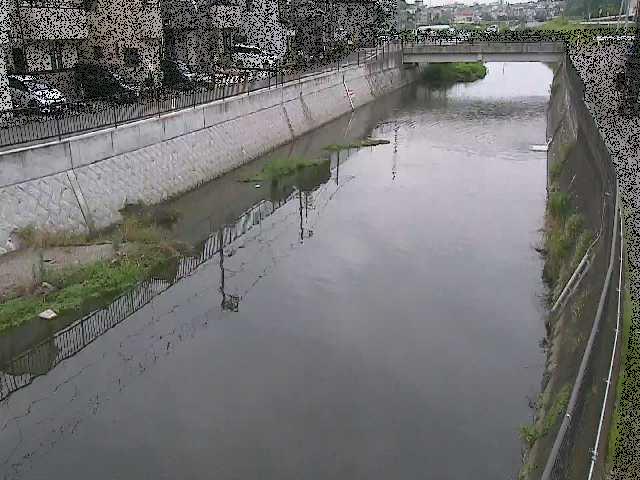 引地川 大山橋付近のカメラ画像