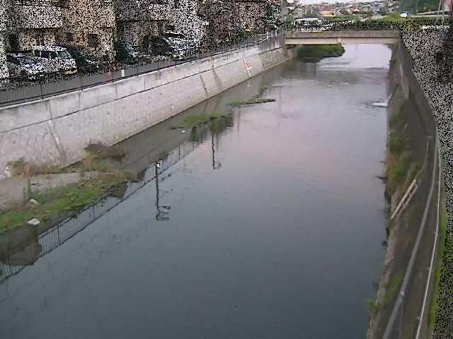 引地川 大山橋付近のカメラ画像