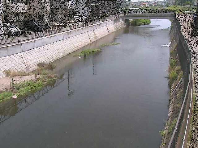 大山橋付近のカメラ画像