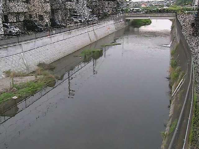 引地川 大山橋付近のカメラ画像