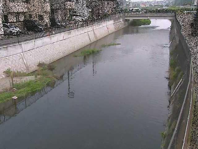 引地川 大山橋付近のカメラ画像
