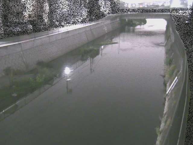 引地川 大山橋付近のカメラ画像