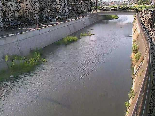 引地川 大山橋付近のカメラ画像