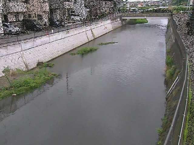 大山橋付近のカメラ画像