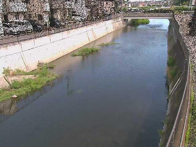 引地川 大山橋付近のカメラ画像