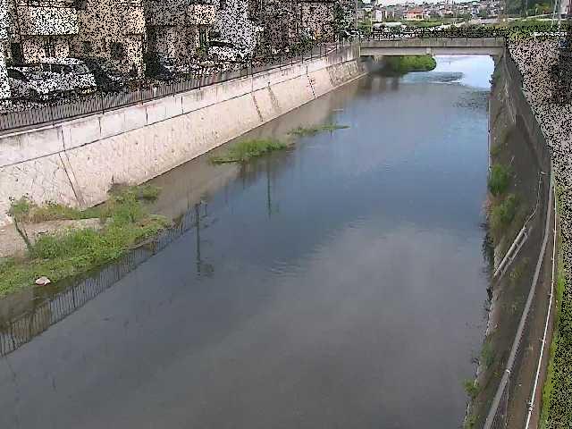 大山橋付近のカメラ画像