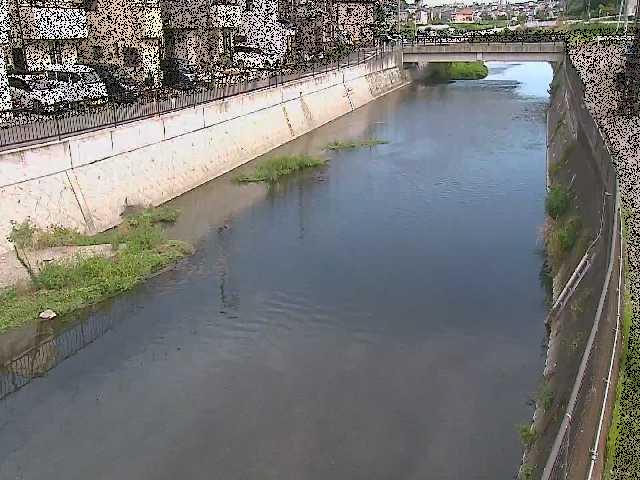 大山橋付近のカメラ画像