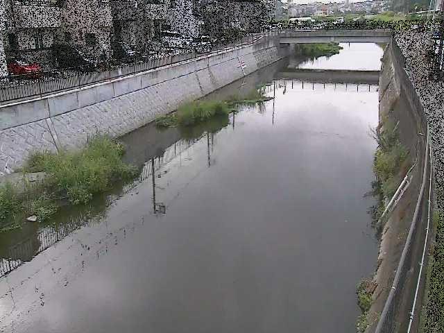 大山橋付近のカメラ画像