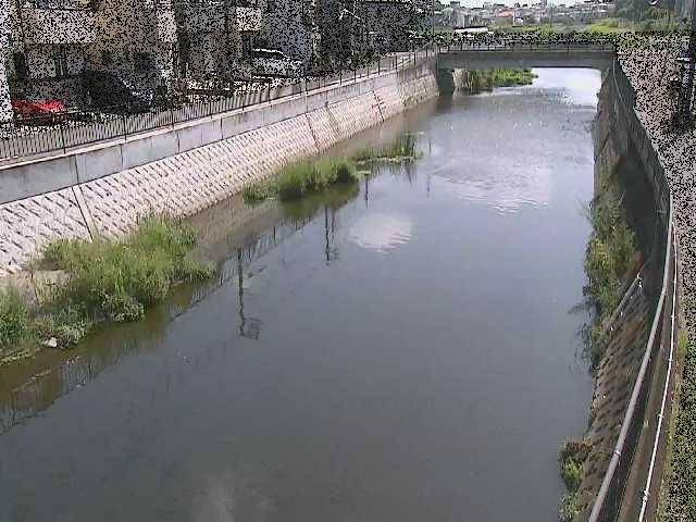 大山橋付近のカメラ画像