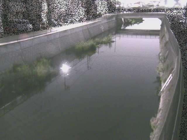 引地川 大山橋付近のカメラ画像