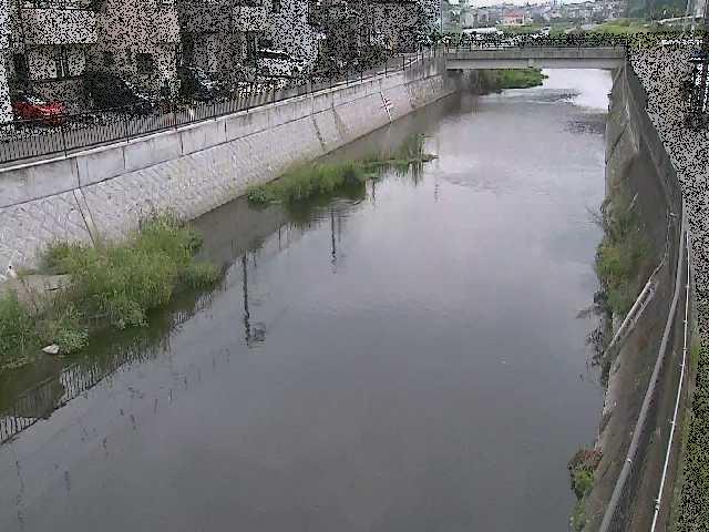 引地川 大山橋付近のカメラ画像