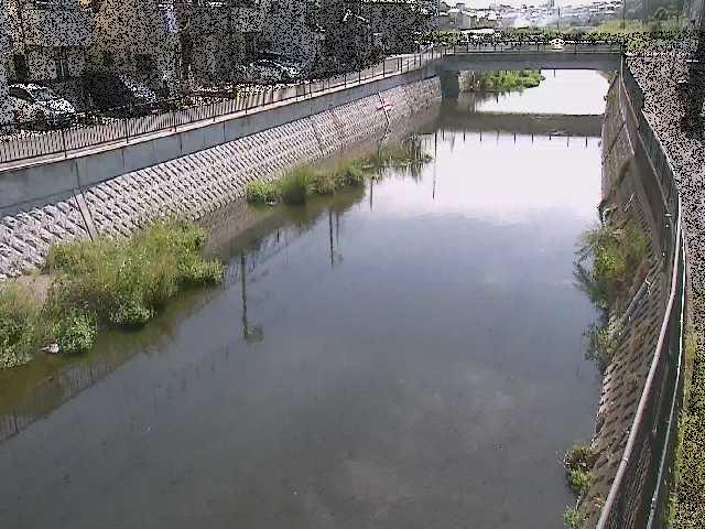 大山橋付近のカメラ画像