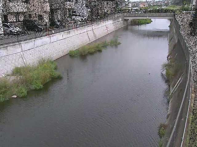 大山橋付近のカメラ画像