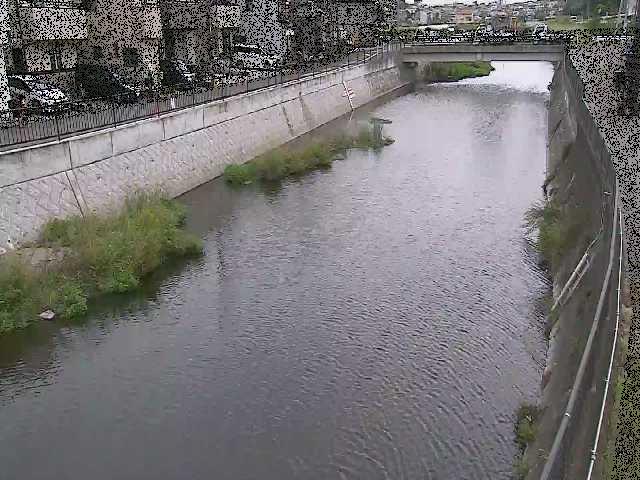 引地川 大山橋付近のカメラ画像