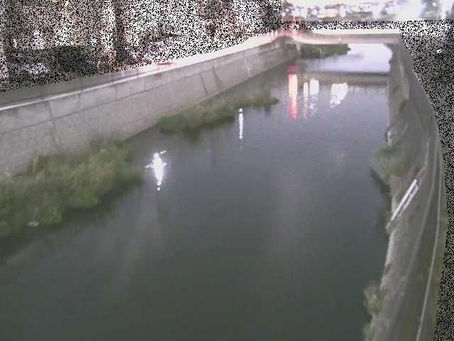大山橋付近のカメラ画像