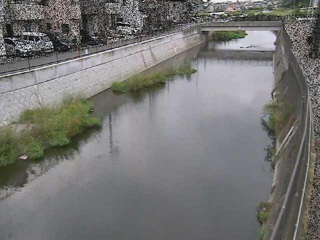 大山橋付近のカメラ画像