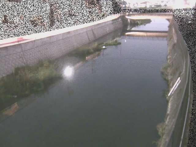 大山橋付近のカメラ画像