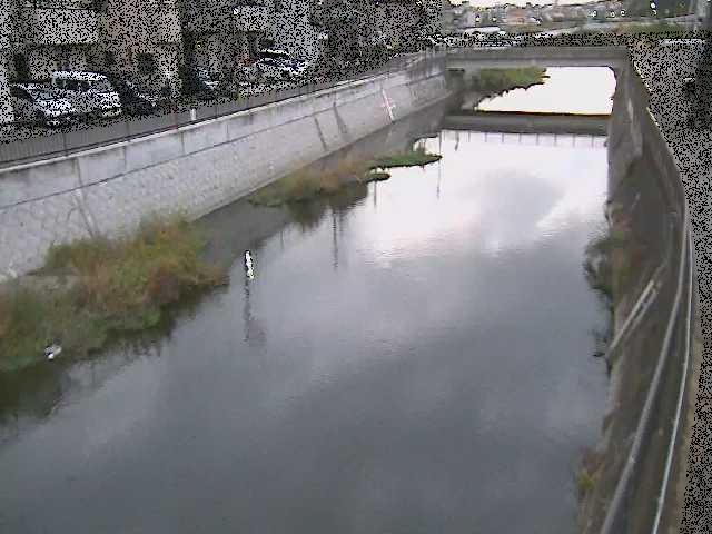 大山橋付近のカメラ画像