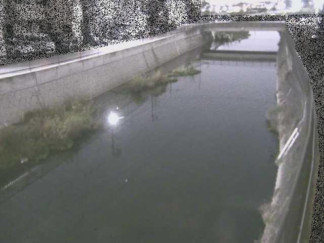 引地川 大山橋付近のカメラ画像