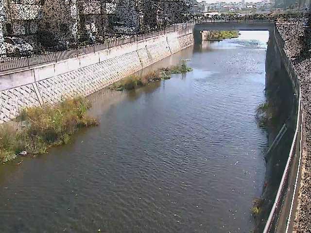 引地川 大山橋付近のカメラ画像